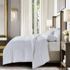 Pet Agree Basic 100% Cotton Allergens Free Down Alternative Comforter, , on-hover image number null
