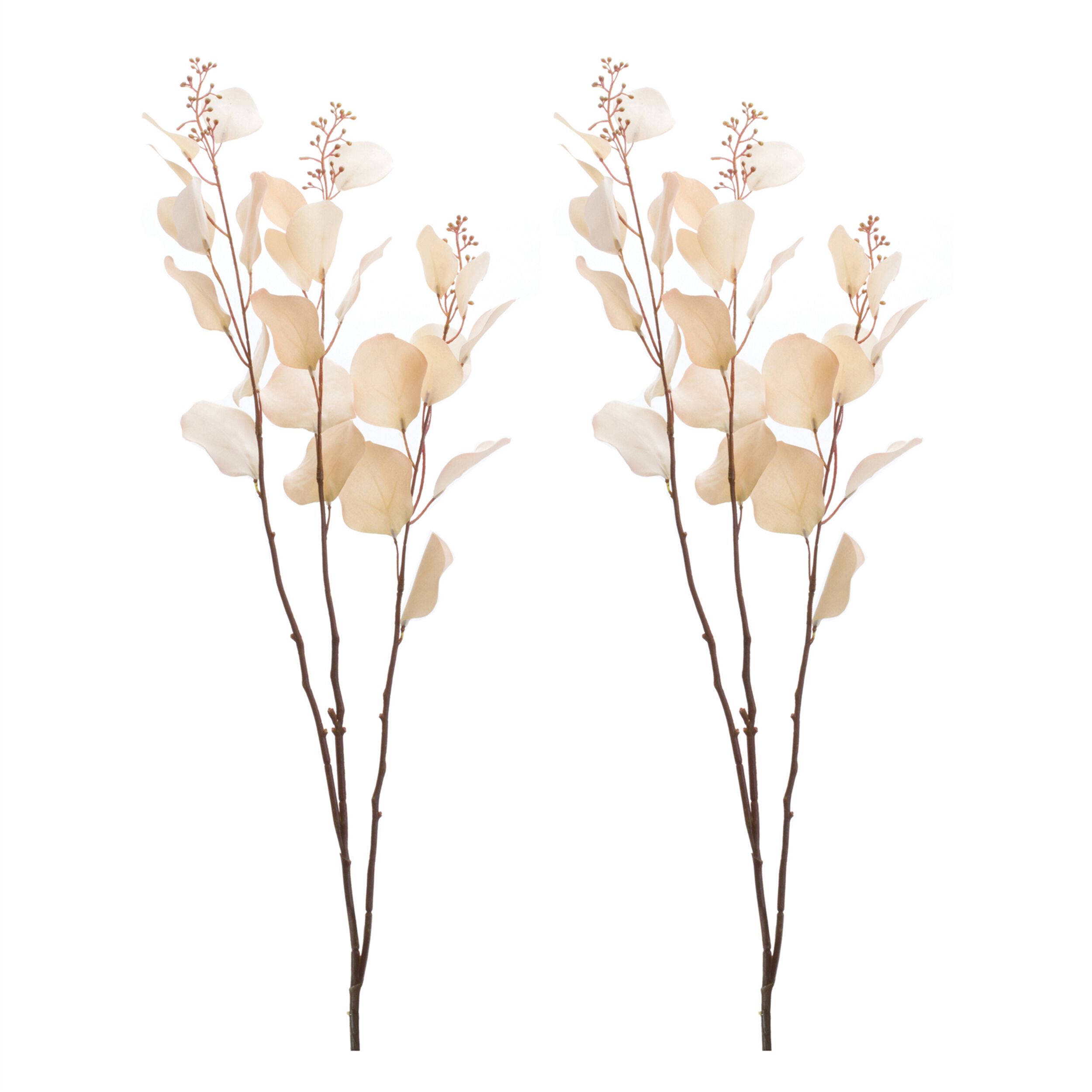 Seeded Eucalyptus Stem (Set of 6), BEIGE, alternate image number 2
