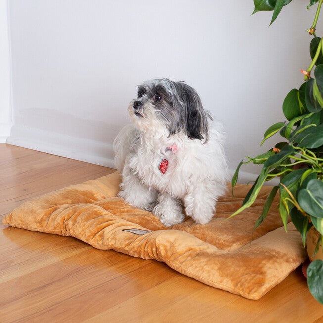 Pet Bed Mat, Dog Crate Soft Pad With Poly Fill Cushion, Medium Earth Brown, , on-hover image number 1