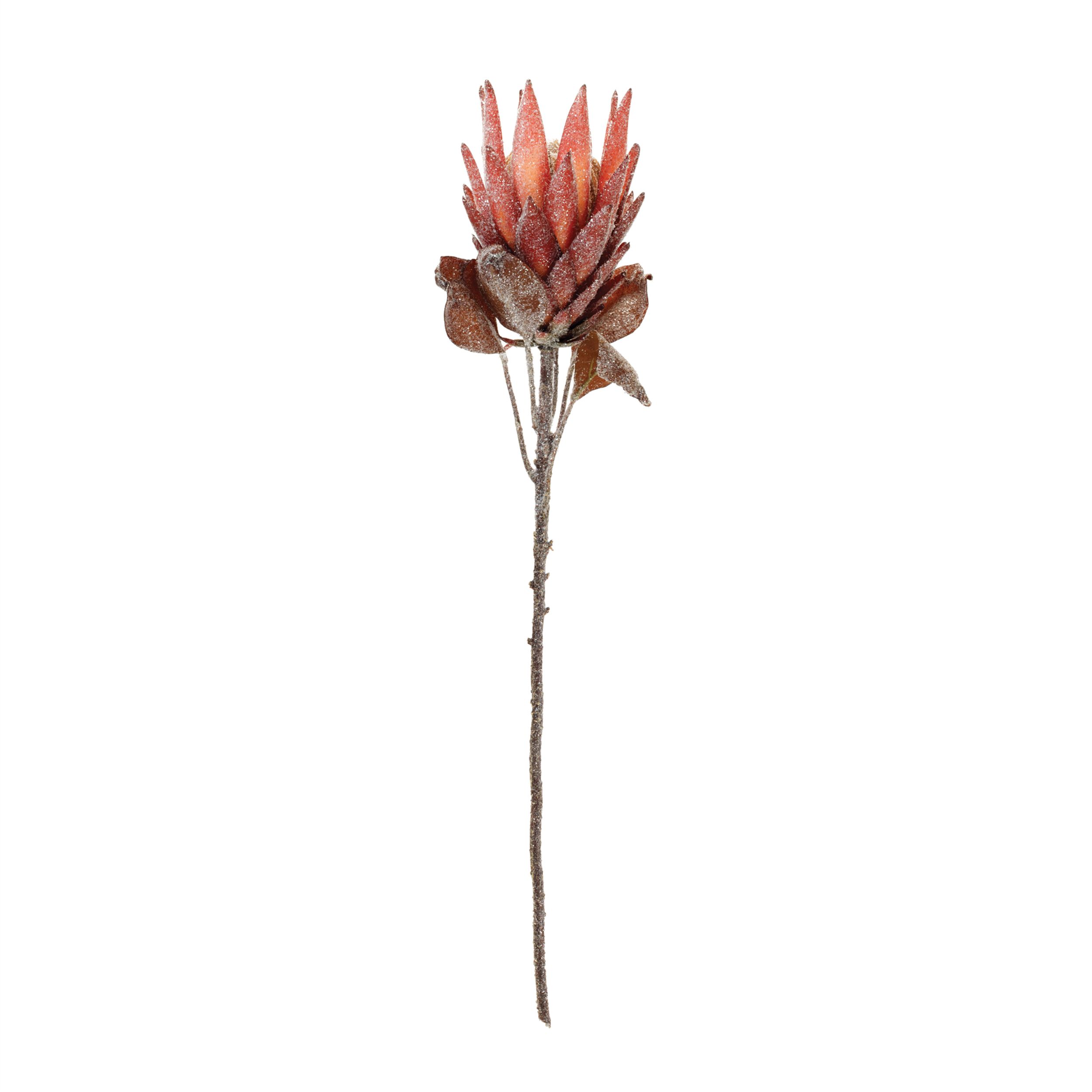 Red Protea Flower Stem (Set of 2), RED ORANGE, alternate image number 1
