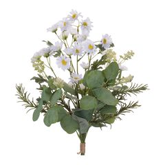 Mini Daisy Floral Bundle Set of 2