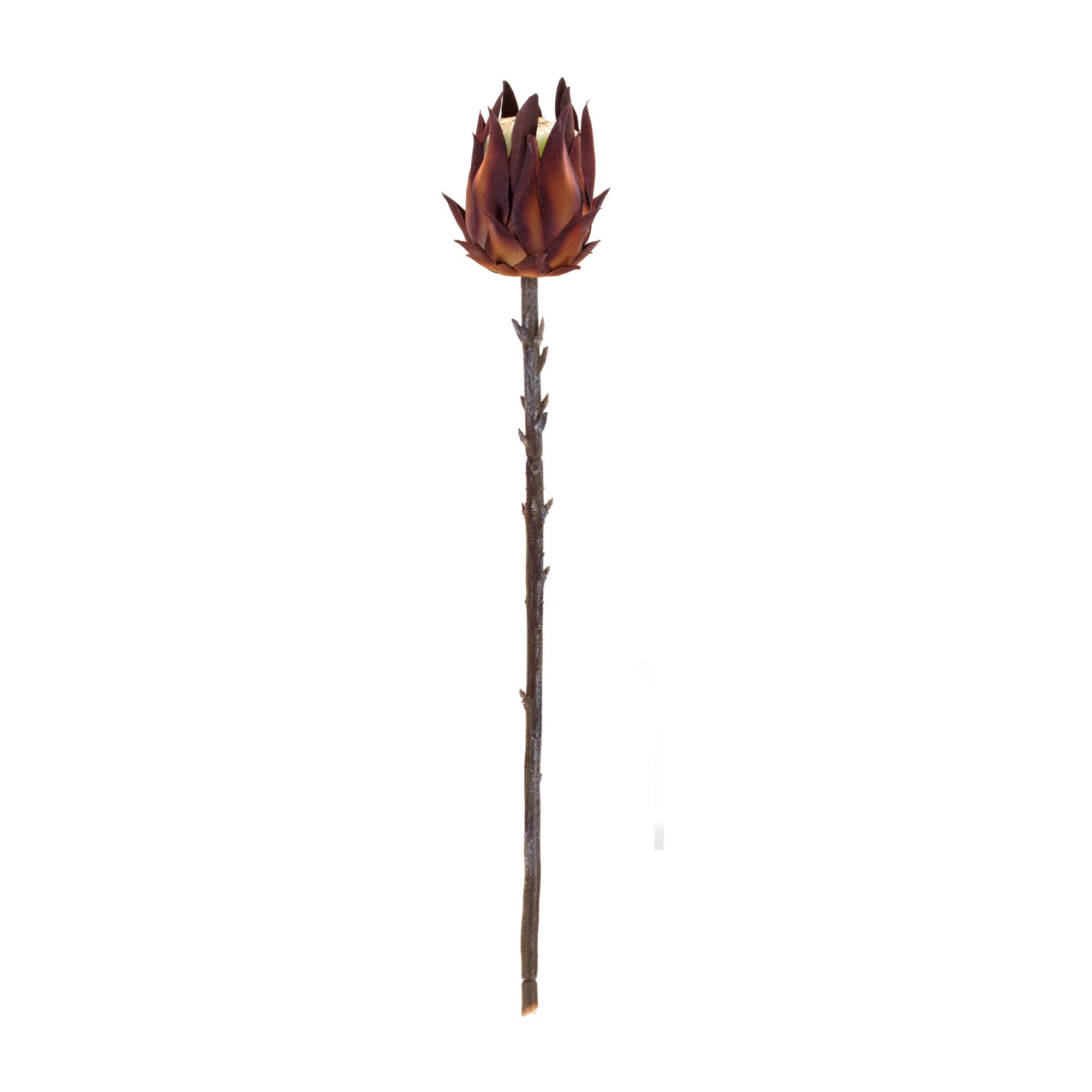 Protea Stem (Set of 6) 20 inchesH Plastic, ORANGE/BROWN, alternate image number 2