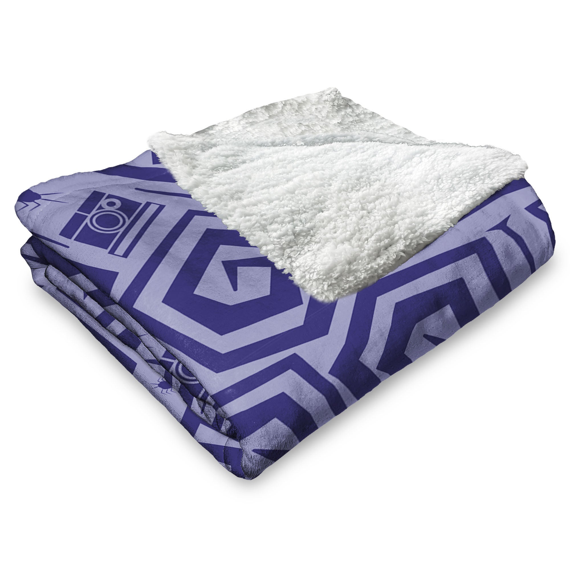 Warner Bros. Beetlejuice Creepy Crawlies Silk Touch Sherpa Throw Blanket 50X60 Inches, PURPLE, alternate image number 3