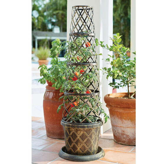 Tomato Cone-Shaped Planter, BRONZE, hi-res image number null