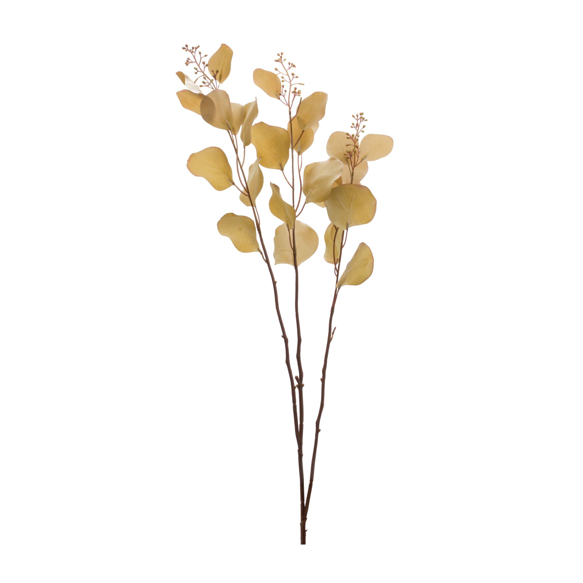 Seeded Eucalyptus Stem (Set of 6), BROWN, hi-res image number 0