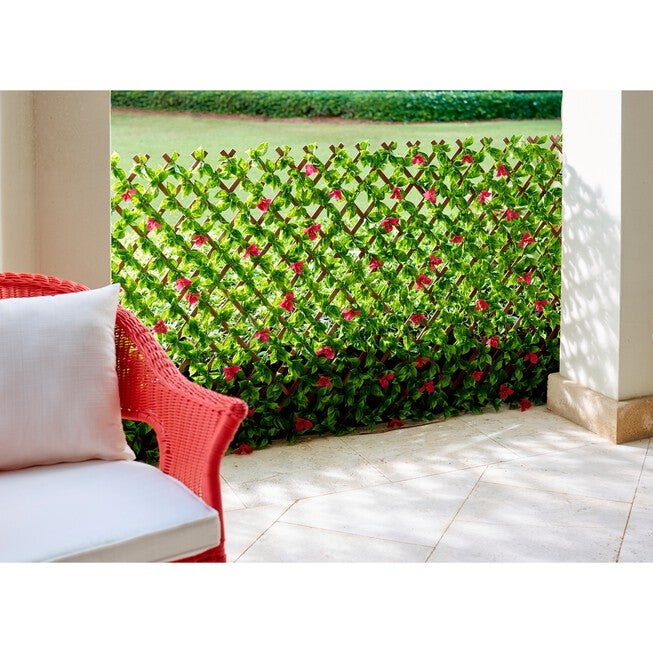 Purple Bougainvillea Privacy Screen, GREEN, hi-res image number 0