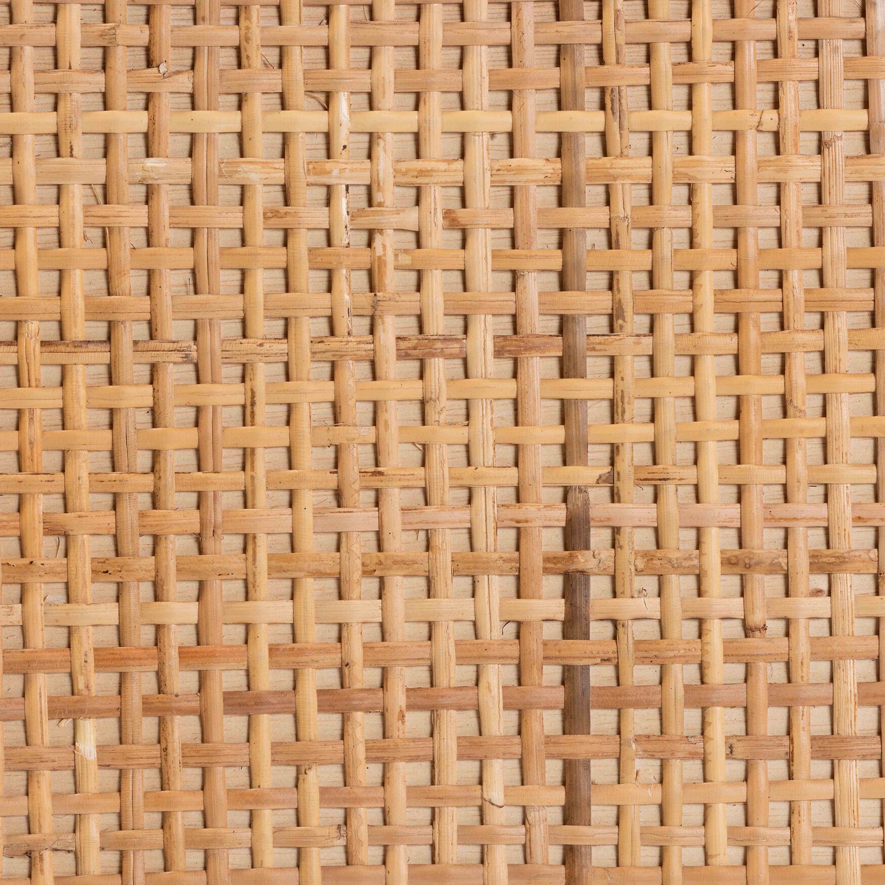 Vivan Modern Bohemian Natural Brown Rattan 1-Door Nightstand, , alternate image number 13