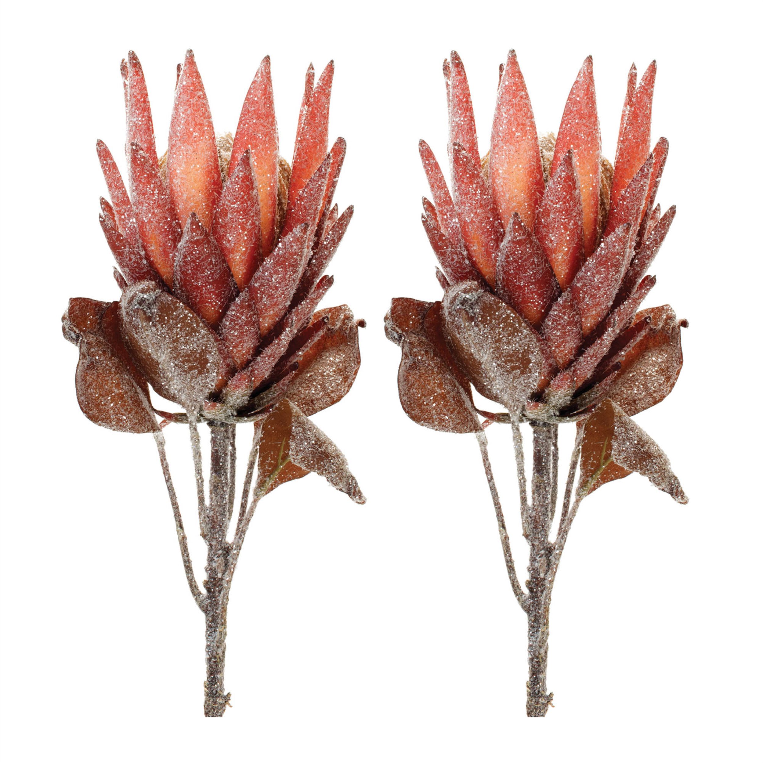 Red Protea Flower Stem (Set of 2), RED ORANGE, alternate image number 2