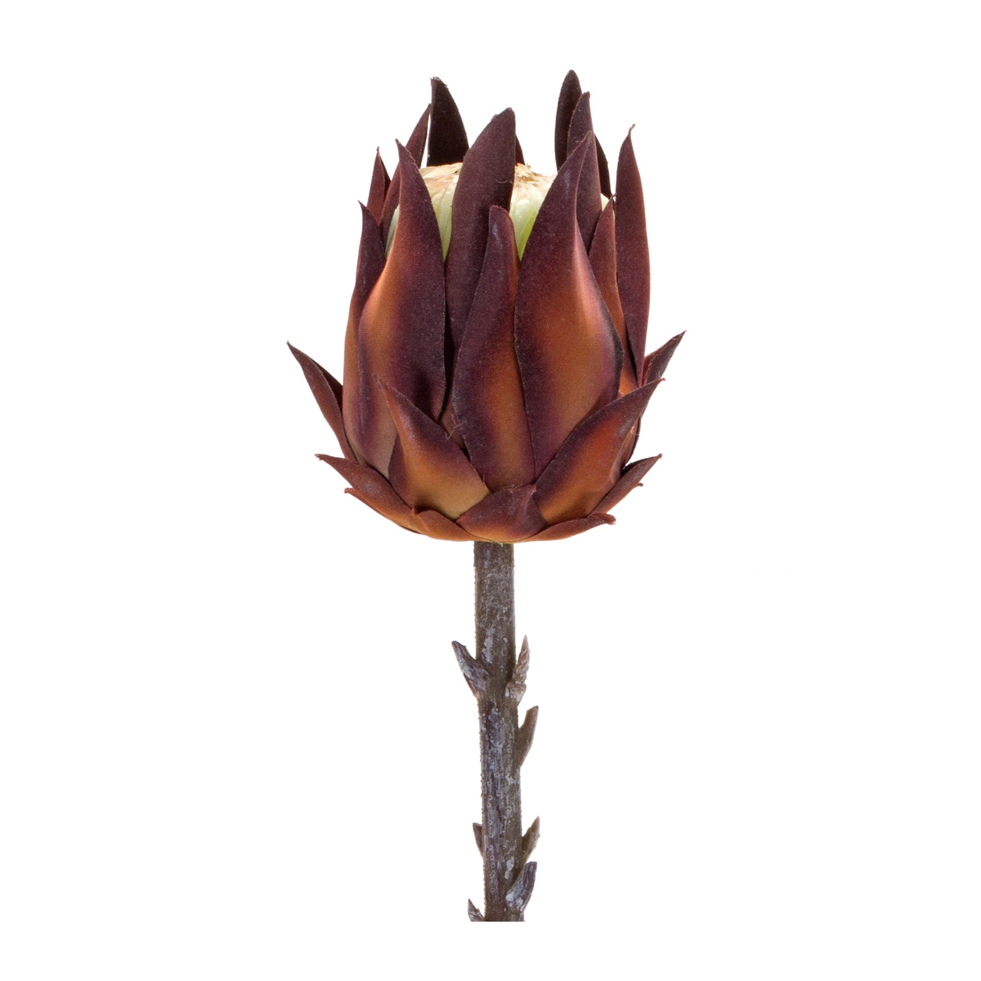 Protea Stem (Set of 6) 20 inchesH Plastic, ORANGE/BROWN, alternate image number 1