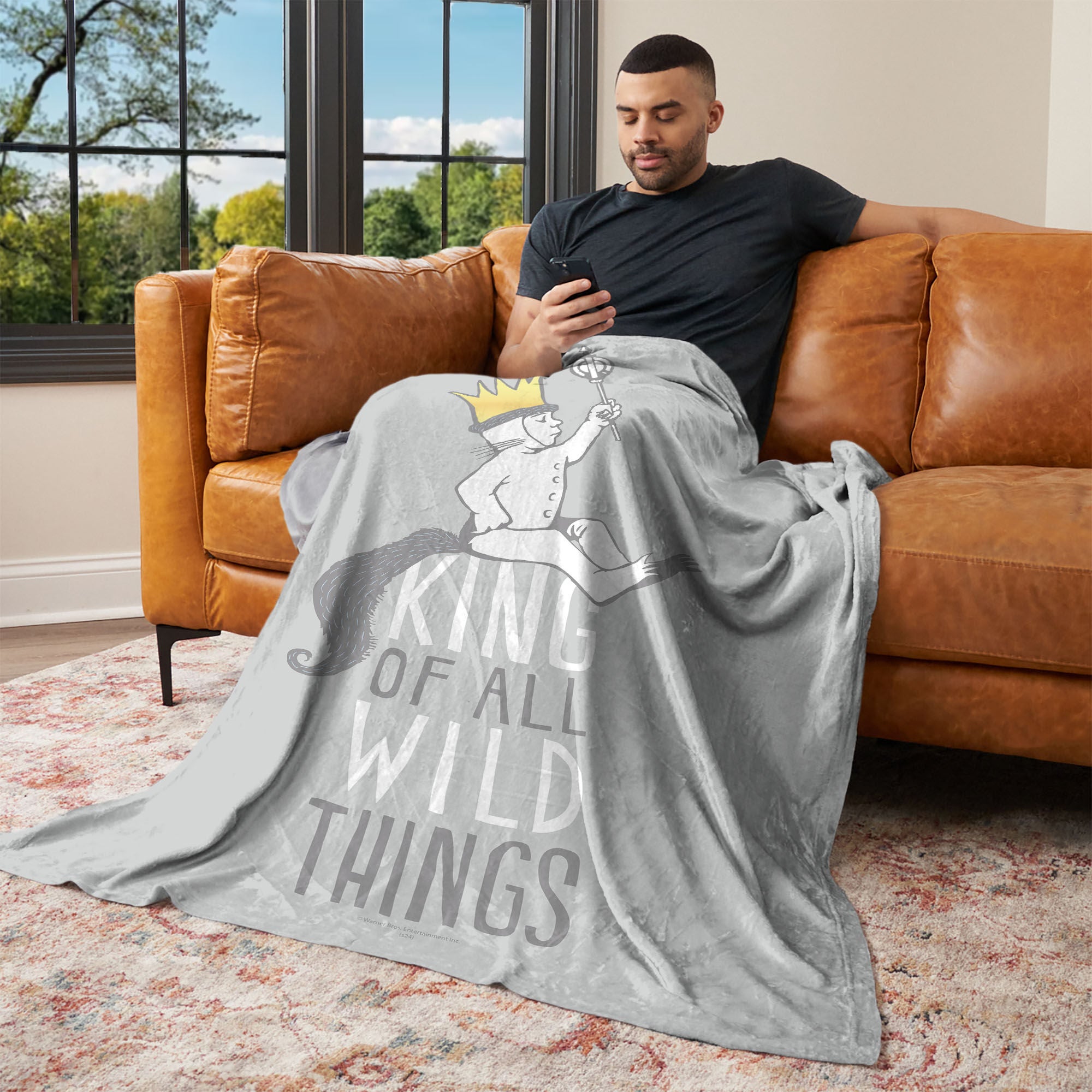 Warner Bros. Where the Wild Things Are King of All Silk Touch Throw Blanket 50x60 Inches, GRAY, alternate image number 2