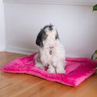 Medium Pet Bed Mat , Dog Crate Soft Pad With Poly Fill Cushion, , on-hover image number null