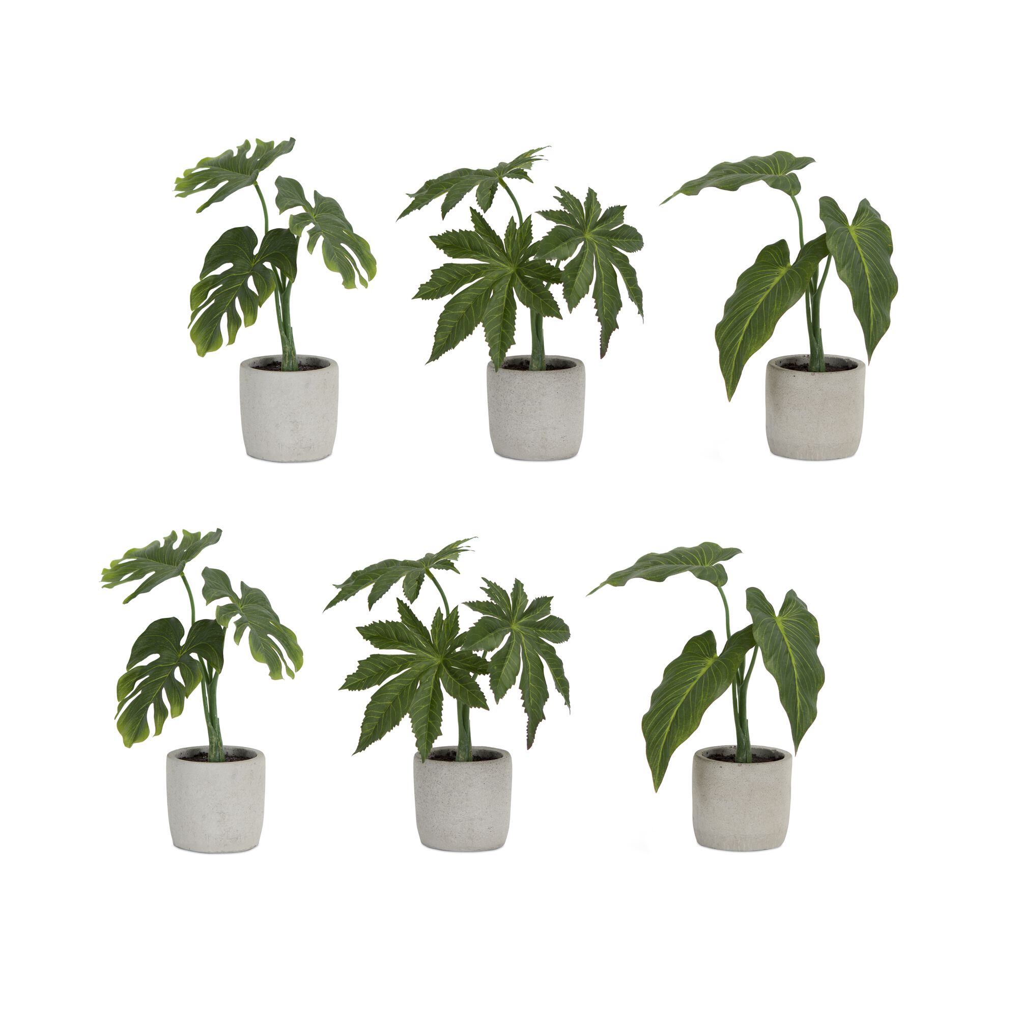 Assorted Foliage Plant in Grey Pot (Set of 6), GREEN BROWN GREY, hi-res image number 0