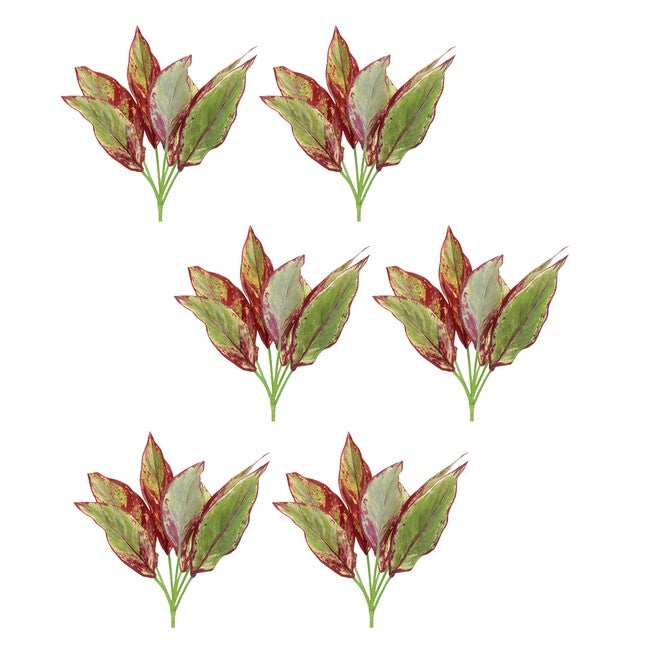 Variegated Foliage Plant (Set of 6), GREEN/PURPLE, alternate image number 2