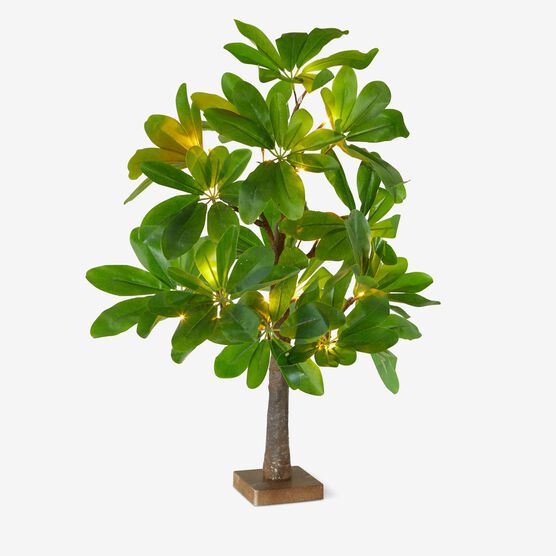 23½" Pre-Lit Tabletop Tree, , on-hover image number null