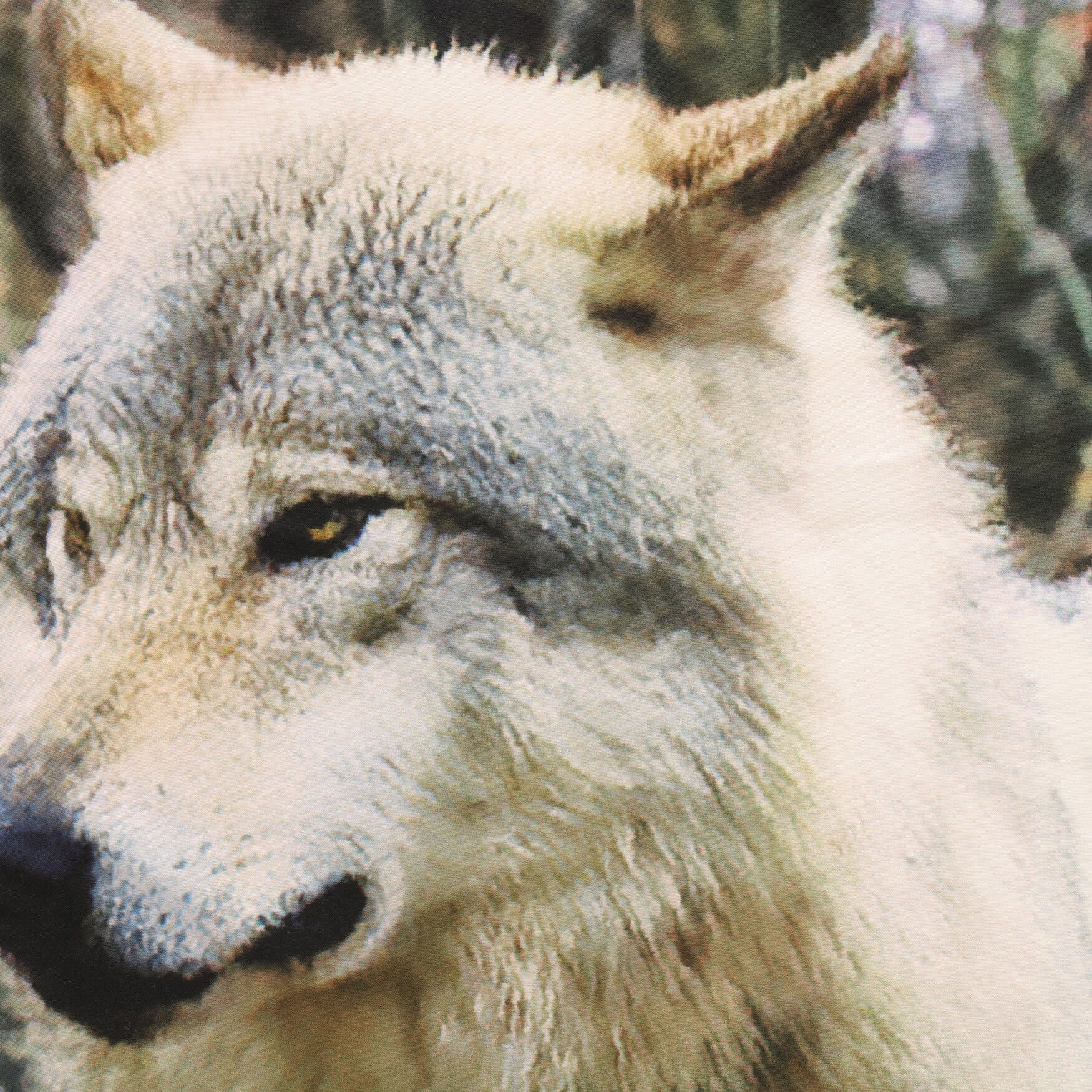 Photo Real Wolves Light Filtering Pole Top Curtain Panel Pair, , alternate image number 2