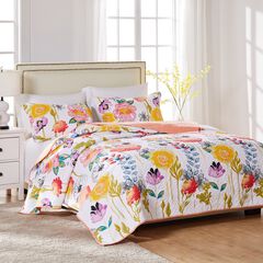 Watercolor Dream Quilt Set