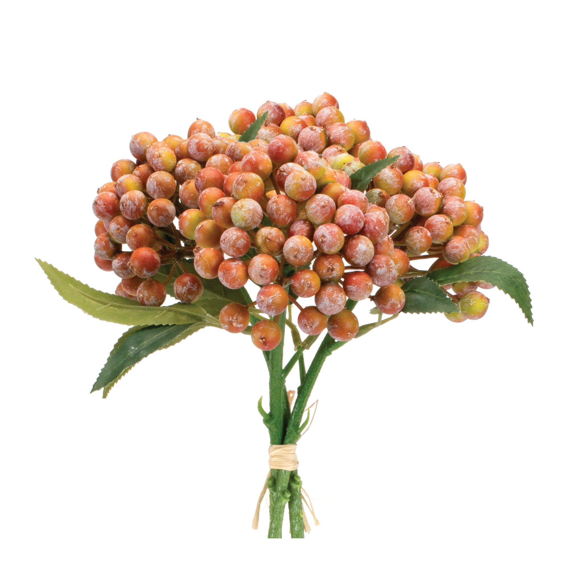 Orange Berry Bundle (Set of 2), ORANGE PINK GREEN, hi-res image number 0