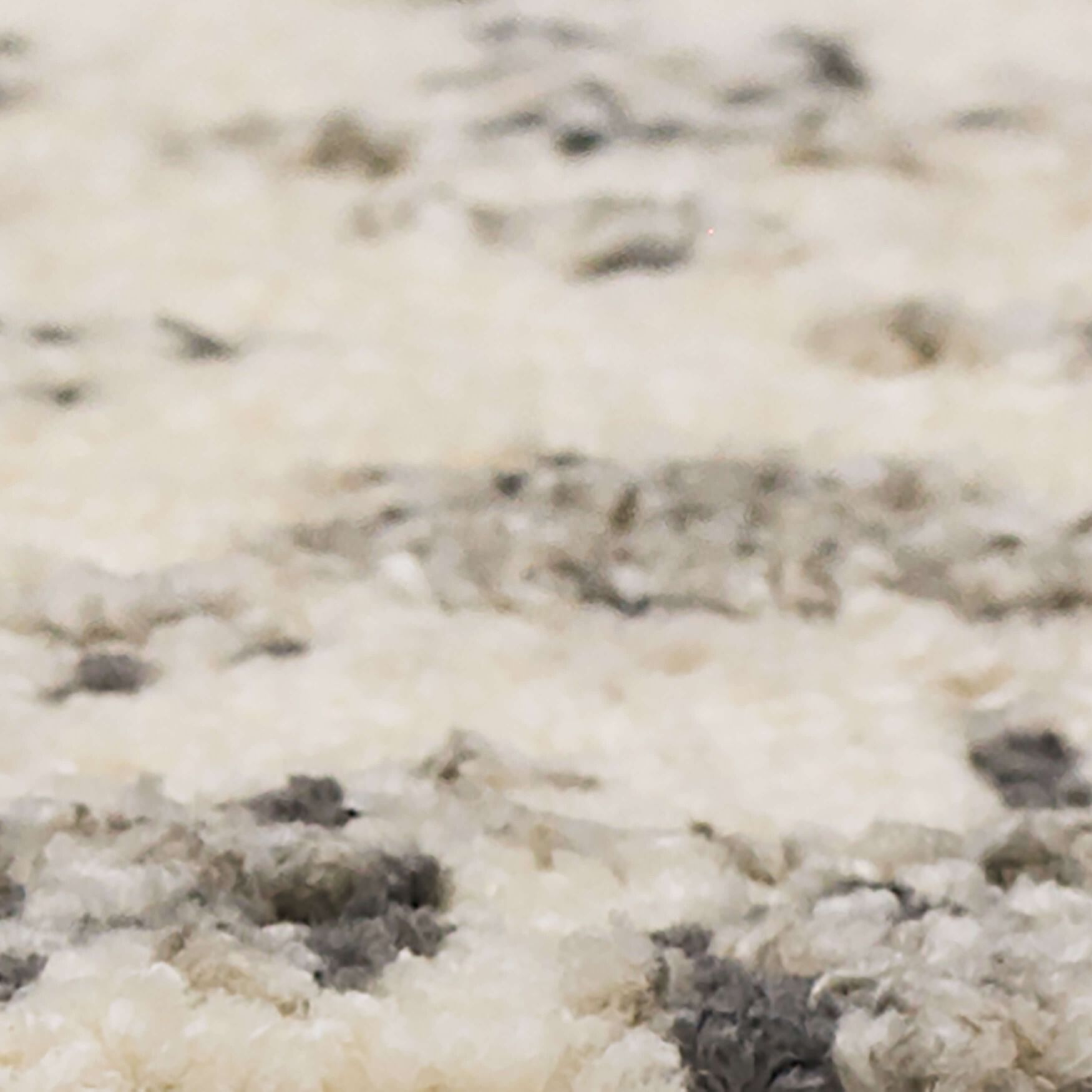 Nottley Area Rug, , alternate image number 3