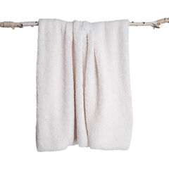 Teddy Sherpalux Plush Solid Throw & Pillow Set