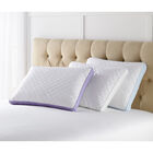 Stomach Sleeper Gusseted Density 2-Pack Pillows, , alternate image number null