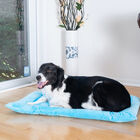 Large Pet Bed Mat , Dog Crate Soft Pad With Poly Fill Cushion, , on-hover image number null