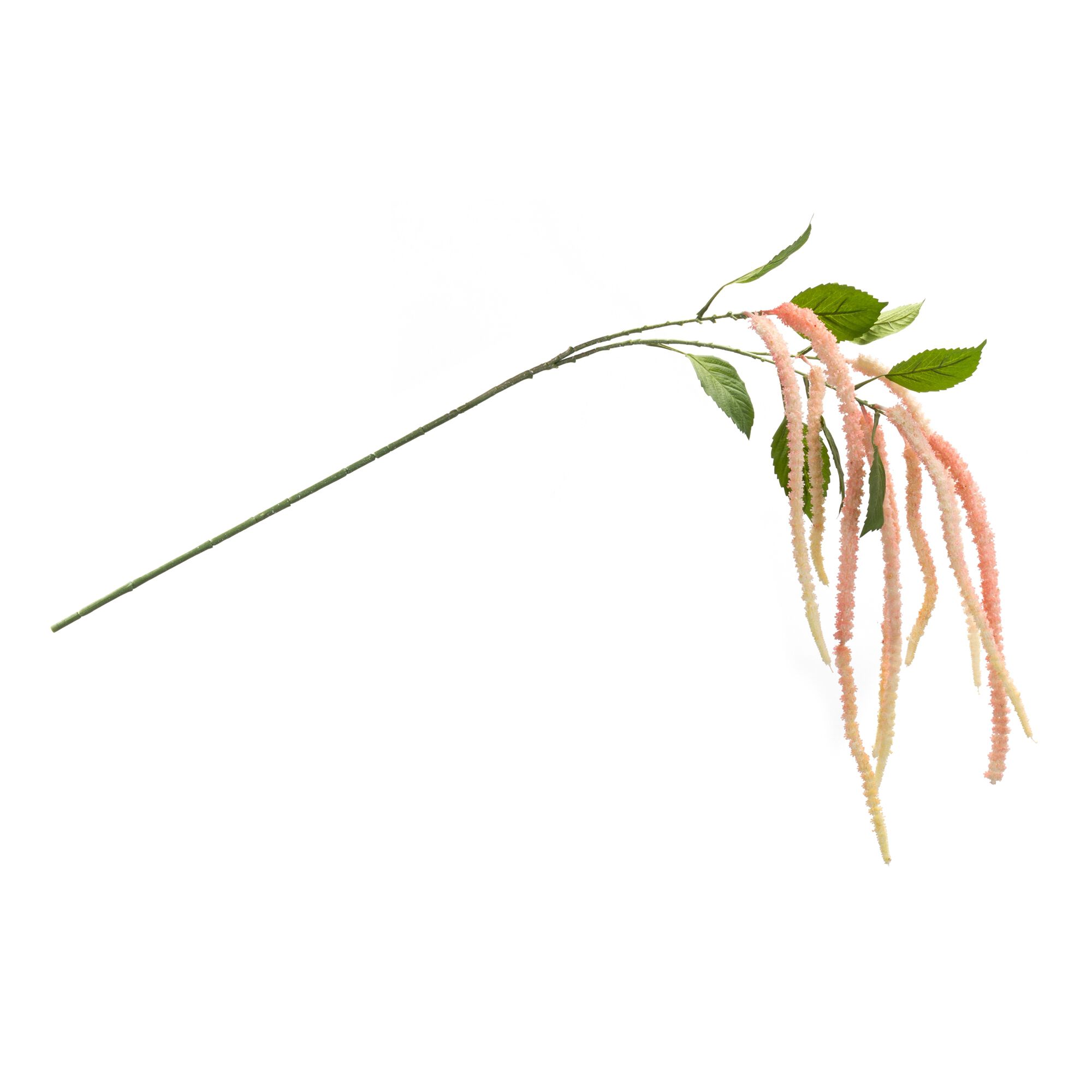 Amaranthus Stem (Set of 4) 53.25 inchesH Plastic/Polyester, PINK, alternate image number 1