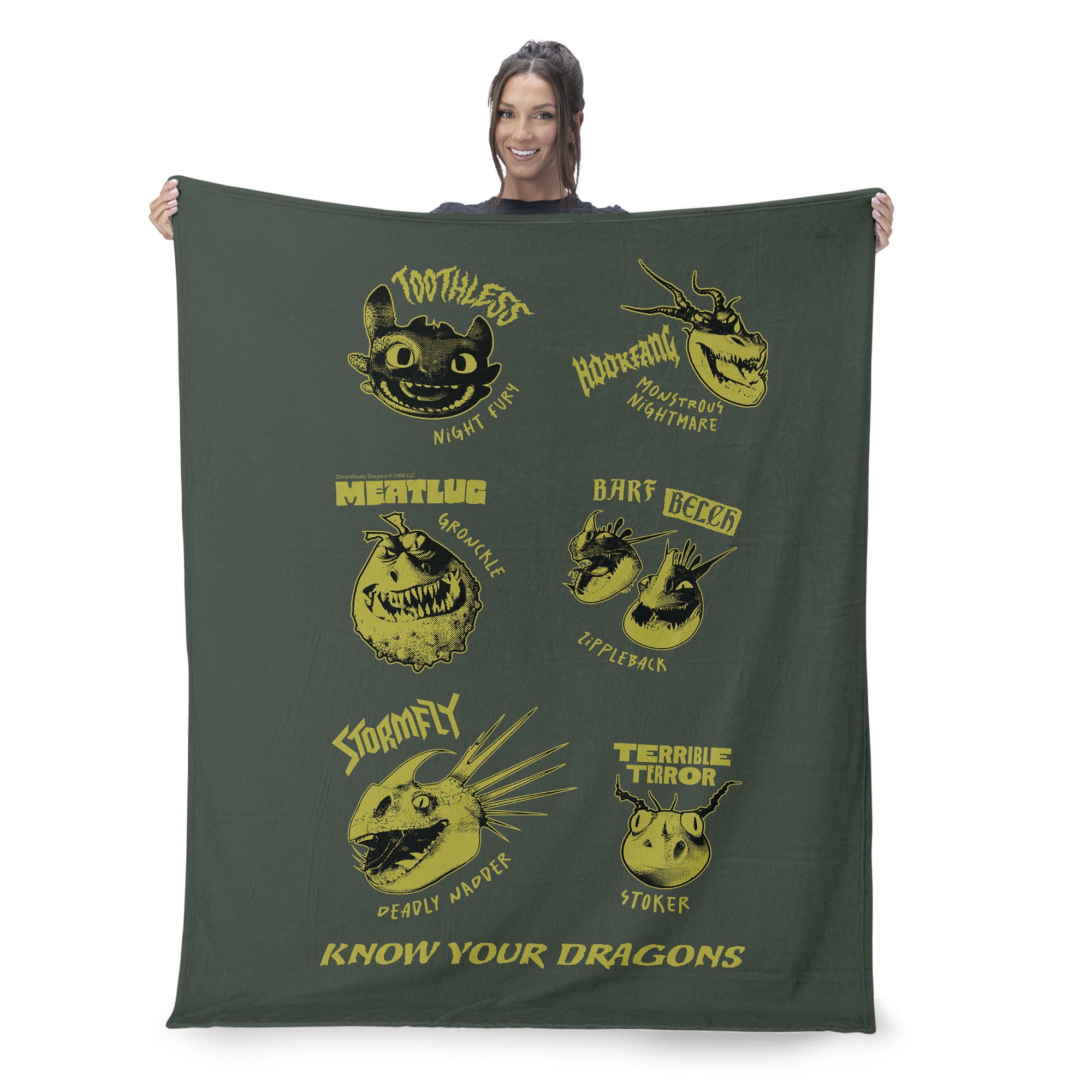 How to Train Your Dragon Know Your Dragons Silk Touch Sherpa Throw Blanket 50x60 inches, KNOW YOUR DRAGONS, on-hover image number 1