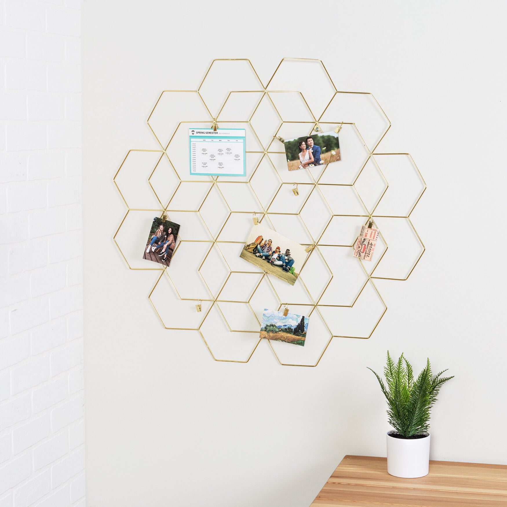 Fashionable Photo Display with Clips, Gold | Roaman's