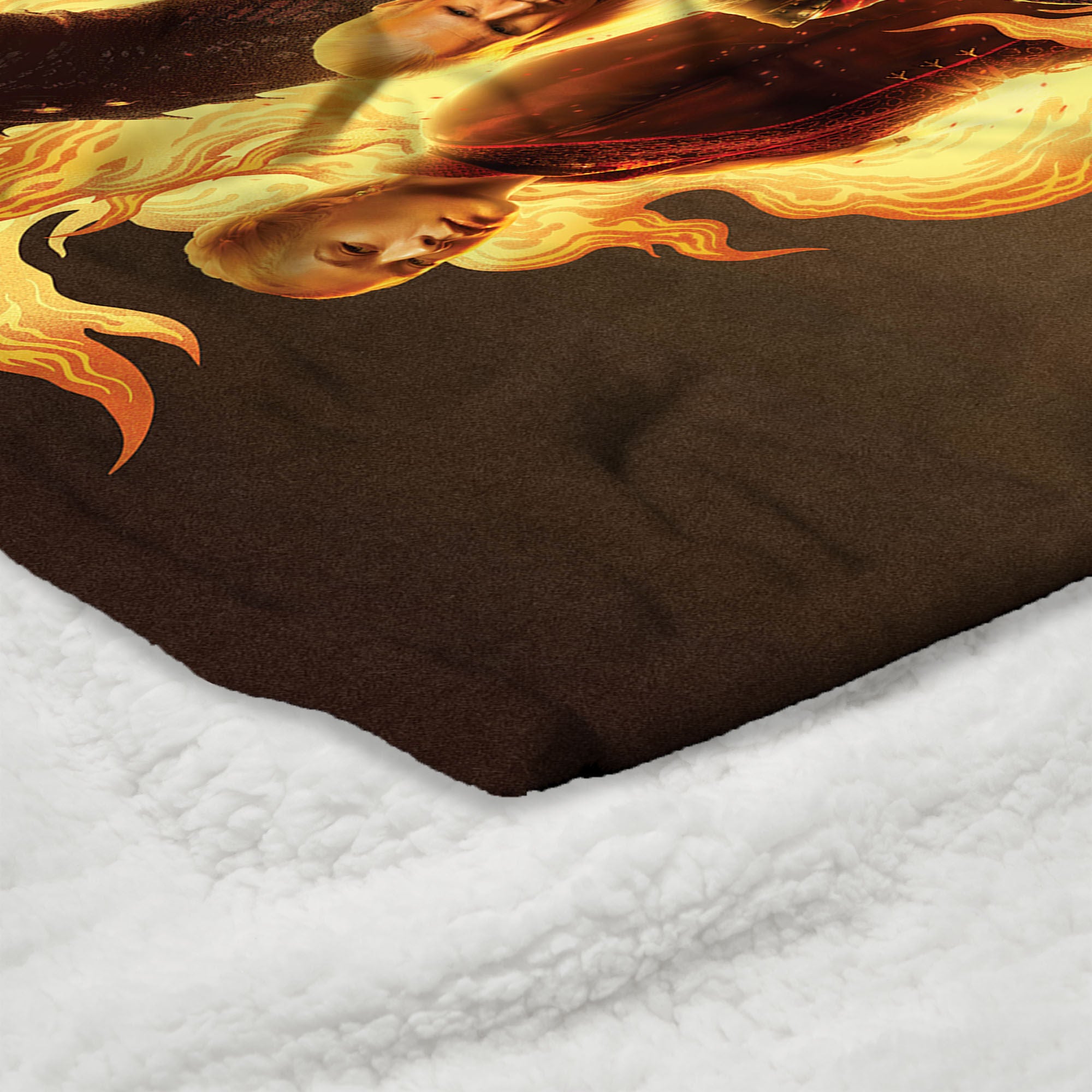Warner Bros. House of the Dragon Fire and Blood Reigns Silk Touch Sherpa Throw Blanket 50x60 Inches, HOUSE DRAGON, alternate image number 4