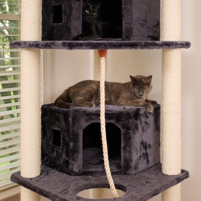 82 Inches Multi-Level Big Cat Tree. Tall Multi-Cats Tower with 2 Big Cat Condos A8202, DARK GRAY, alternate image number null