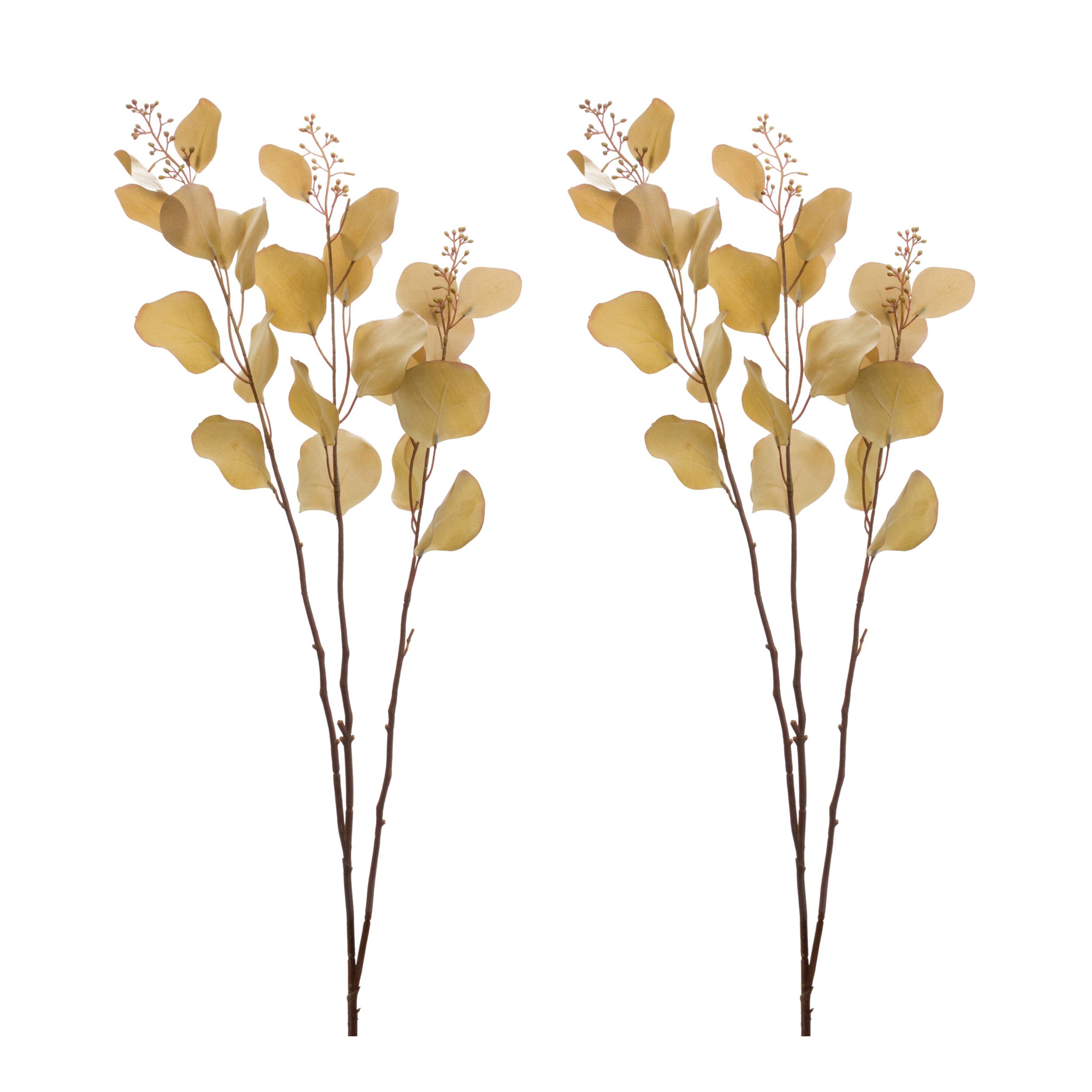 Seeded Eucalyptus Stem (Set of 6), BROWN, alternate image number 2