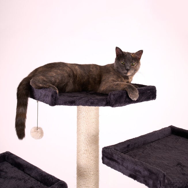 82 Inches Multi-Level Big Cat Tree. Tall Multi-Cats Tower with 2 Big Cat Condos A8202, DARK GRAY, alternate image number null
