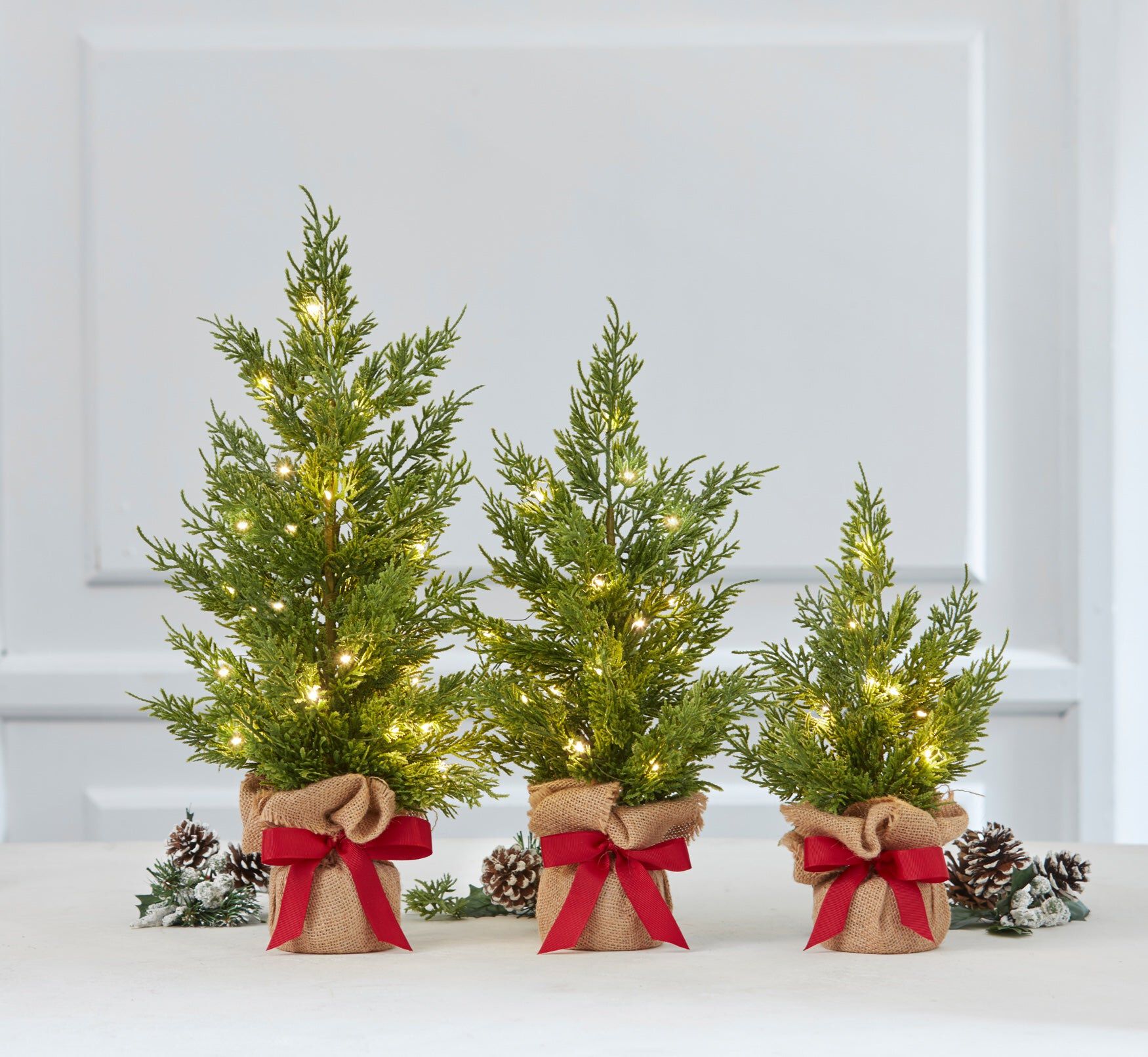 Pre-Lit Tabletop Trees, Set of 3 | Roaman's