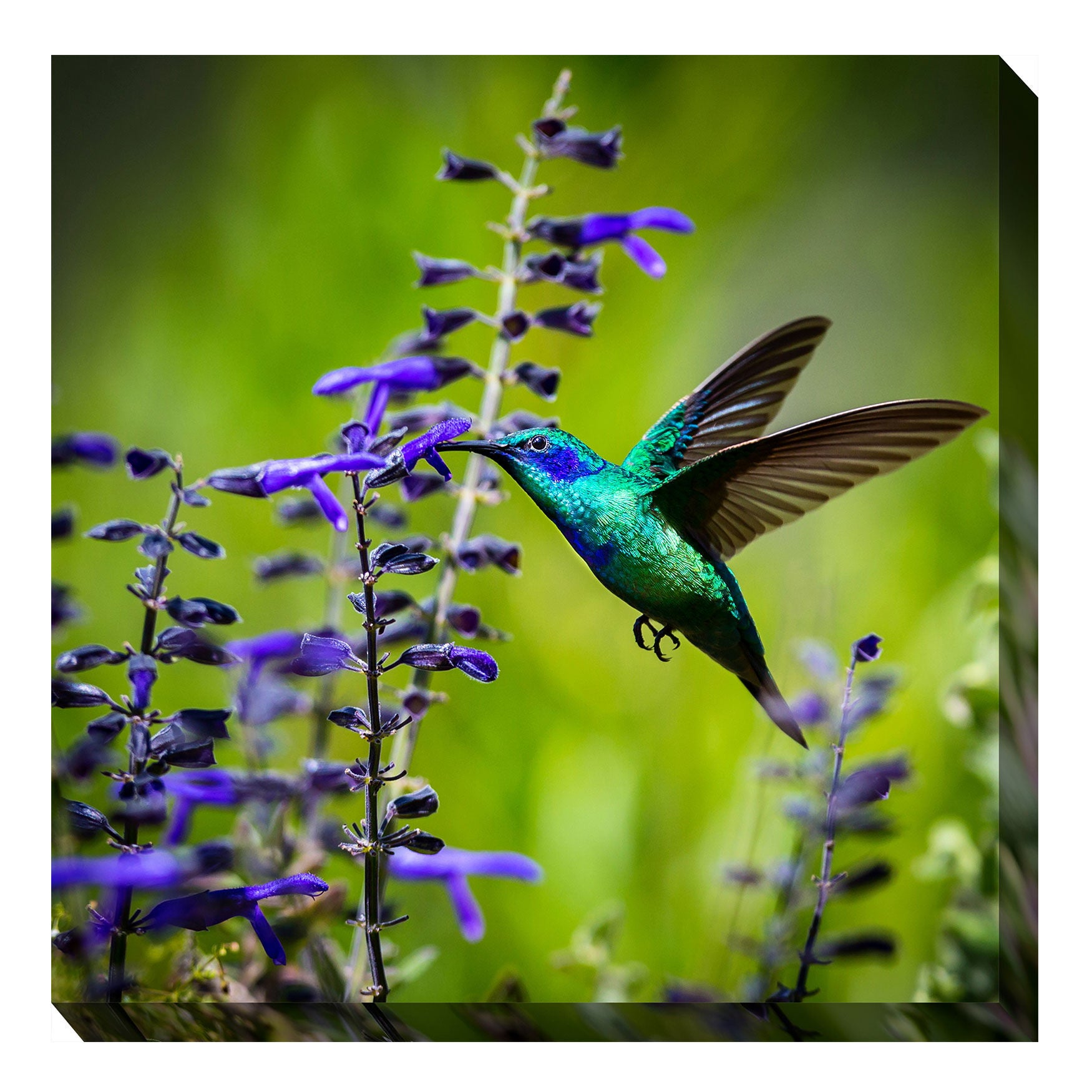 All Weather All Season Outdoor Canvas Art, MULTI, hi-res image number 0