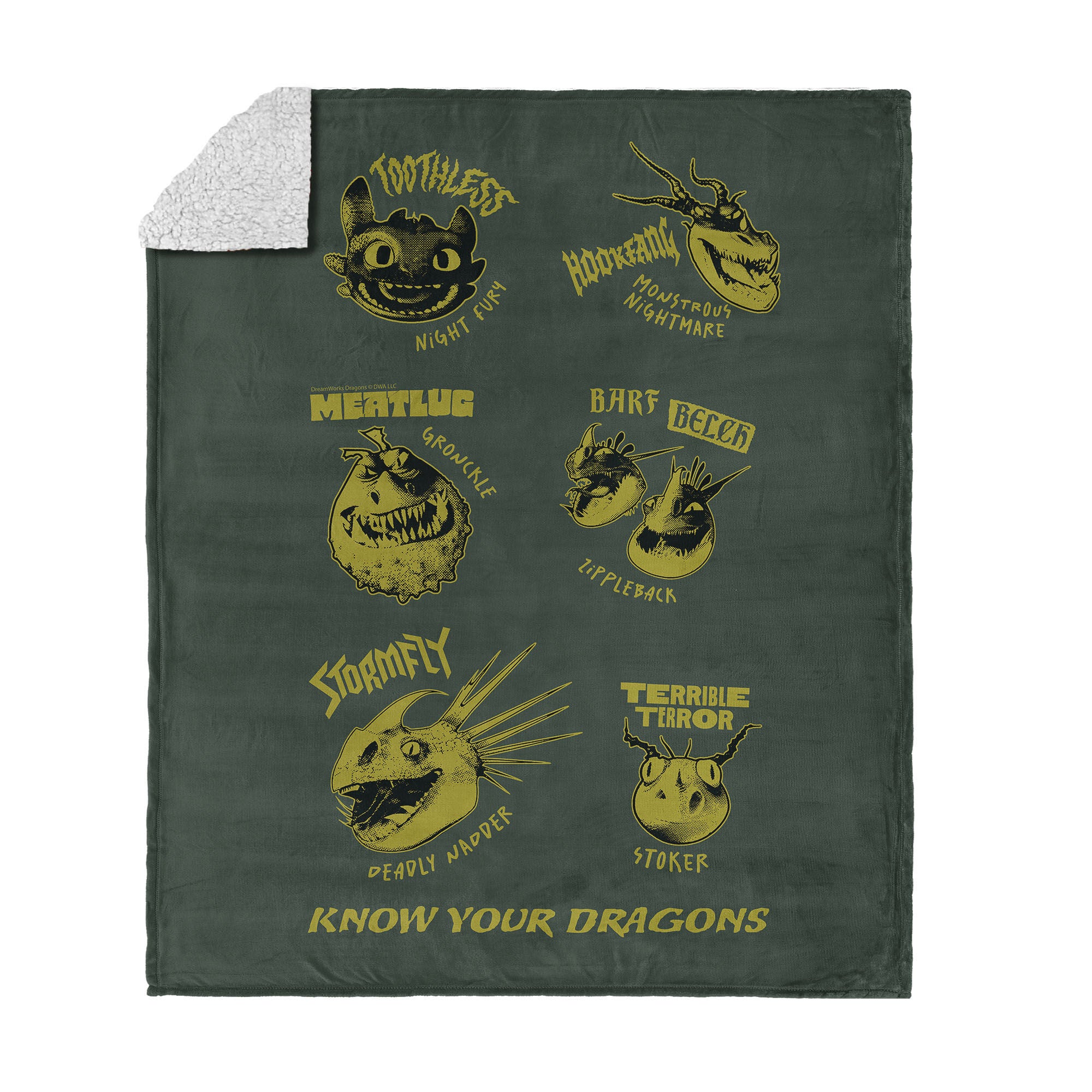 How to Train Your Dragon Know Your Dragons Silk Touch Sherpa Throw Blanket 50x60 inches, KNOW YOUR DRAGONS, hi-res image number 0