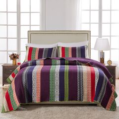Queen Size Quilt Sets