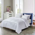 Pet Agree Basic 100% Cotton Allergens Free Down Alternative Comforter, WHITE, hi-res image number null