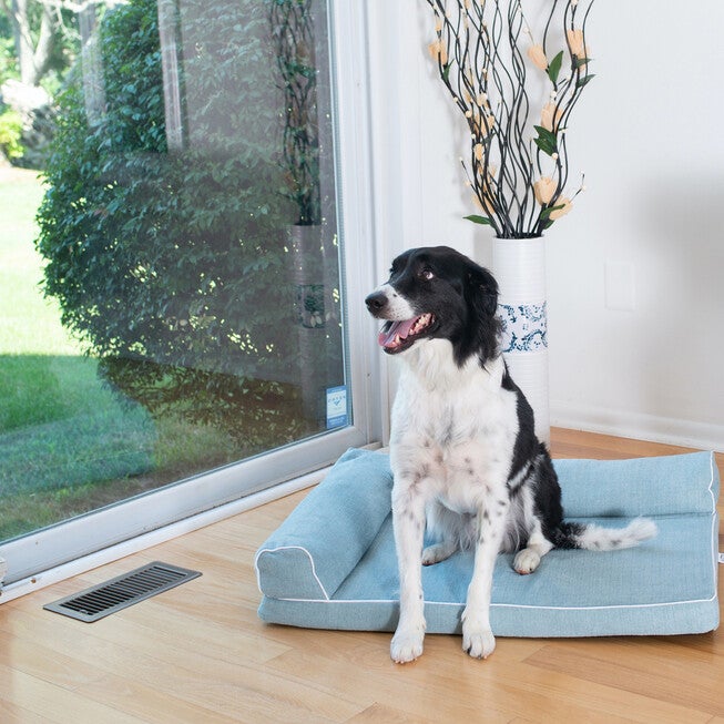 Bolstered Pet Bed Cushion With Memory Foam, Medium SoothIng Blue, , alternate image number null
