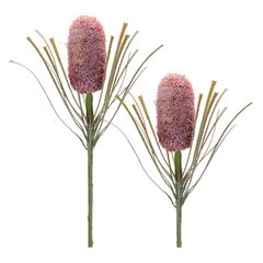 Protea Floral Stem Set of 2
