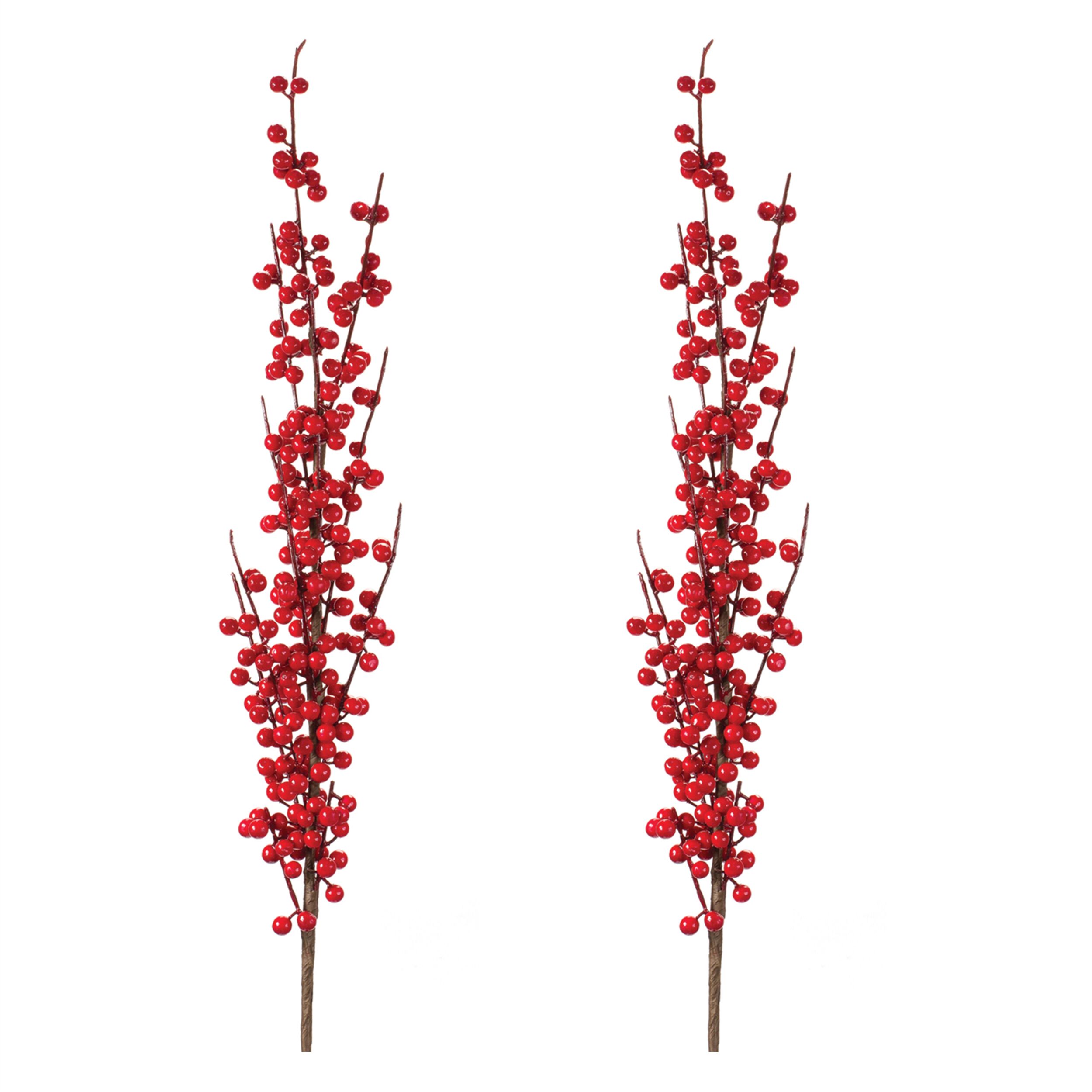 Ilex Berry Stem (Set of 2), RED, alternate image number 2