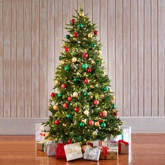 7½'H Fraser Fir Tree