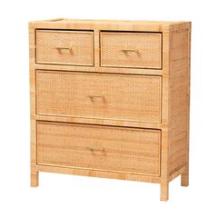 Vaere Modern Bohemian Natural Brown Rattan And Mahogany Wood Storage Cabinet