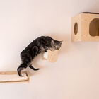 Real Wood Wall Series Cat Tree With Condo, Perch And Step Up, , on-hover image number 1