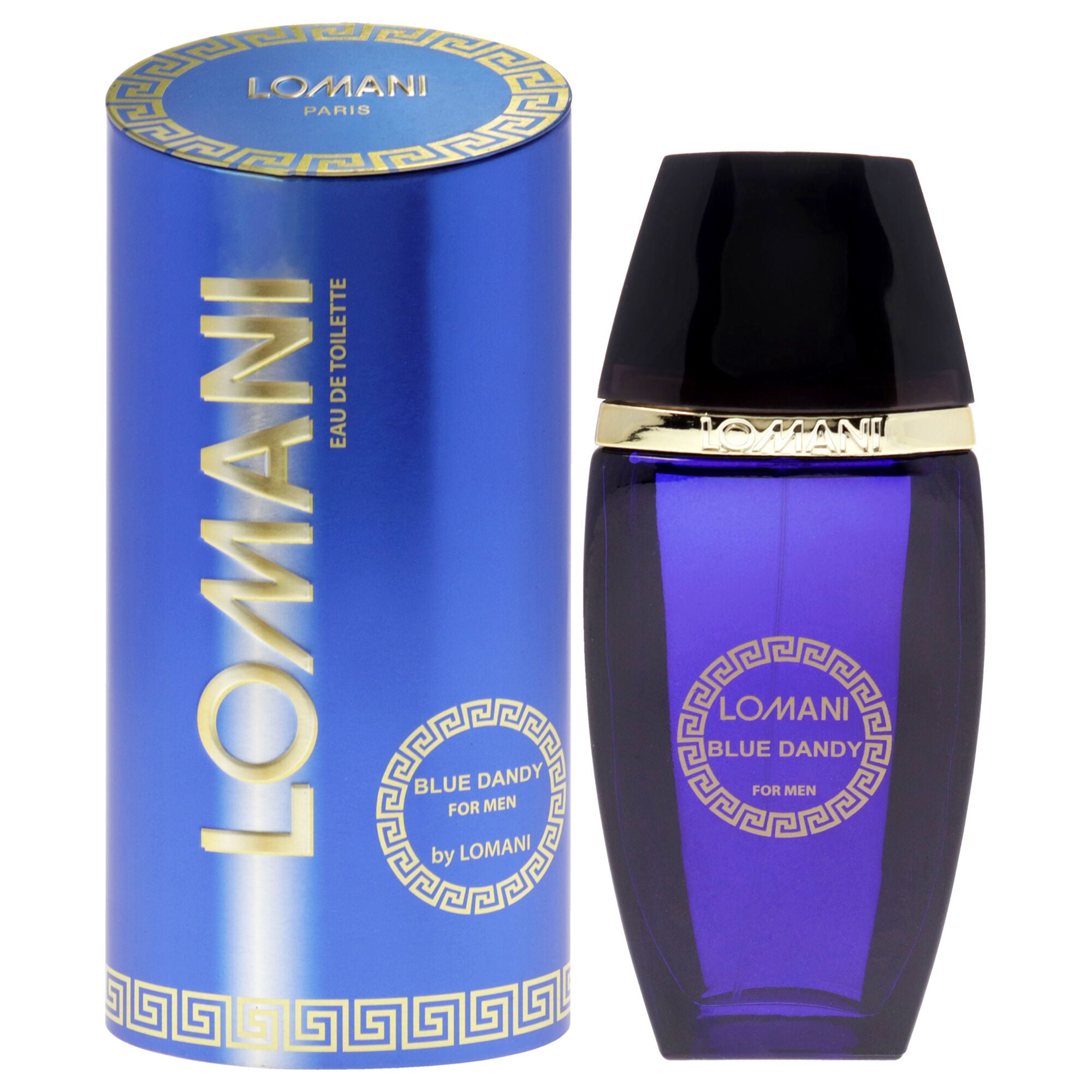 Blue Dandy by Lomani for Men - 3.3 oz EDT Spray, See Description, hi-res image number 0