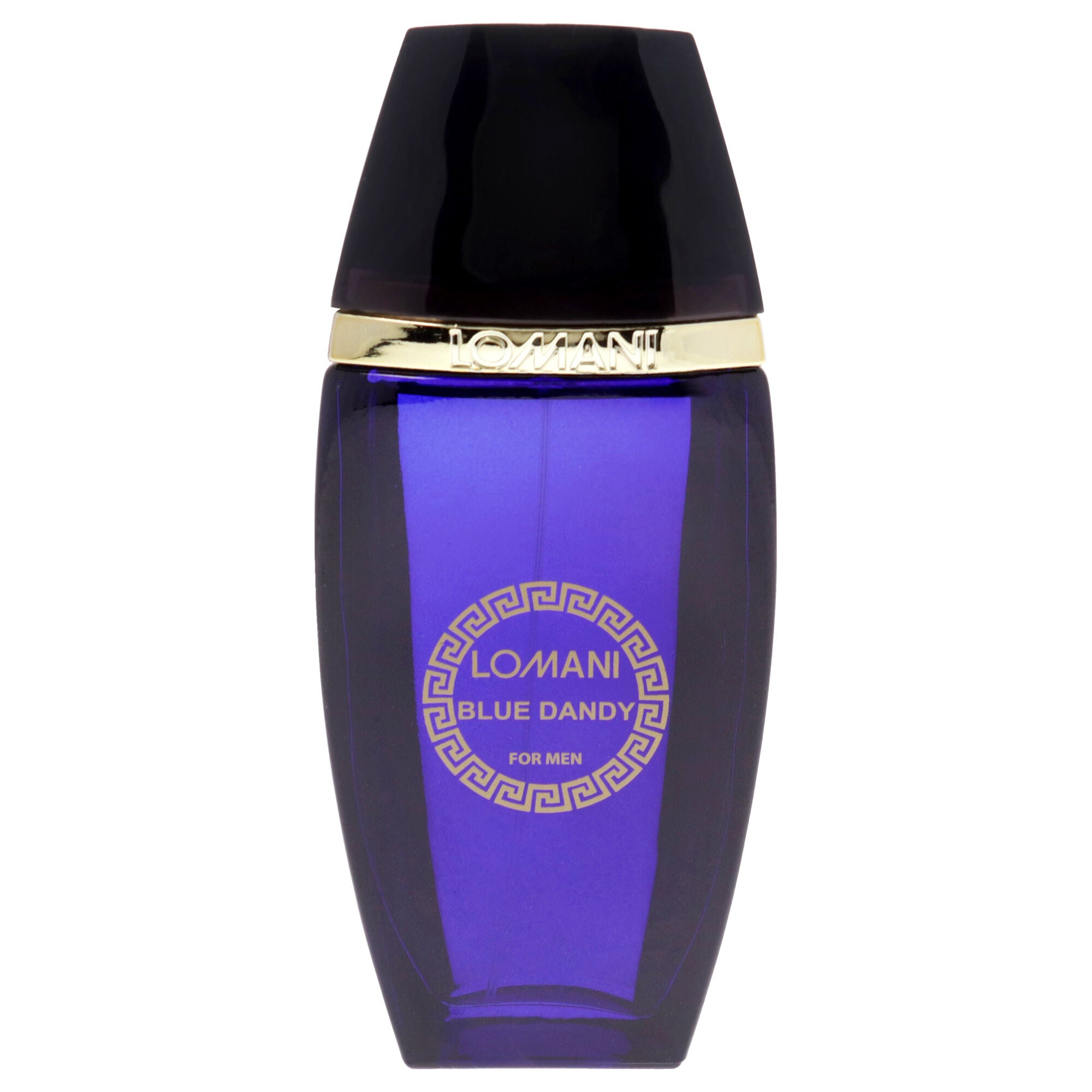 Blue Dandy by Lomani for Men - 3.3 oz EDT Spray, See Description, alternate image number 2