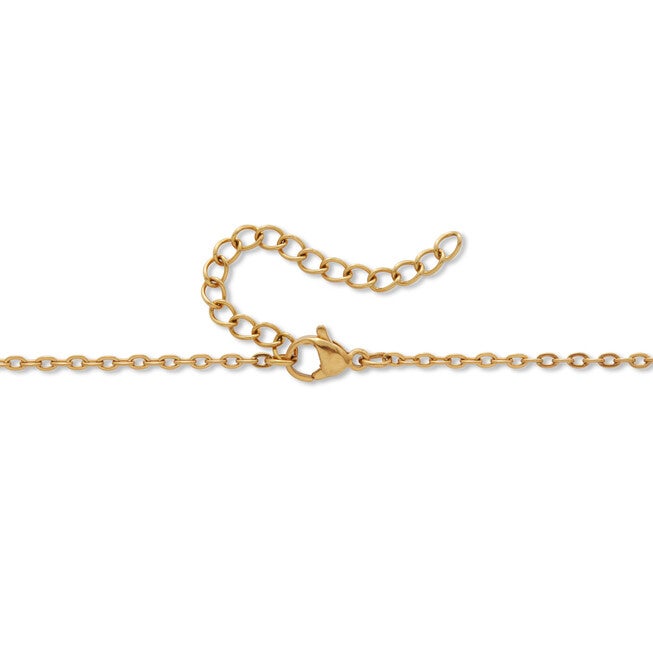 .97 TCW Round Black Cubic Zirconia 14k Gold-Plated Paw Print Necklace 18-inch, BLACK, on-hover image number 1