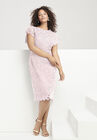 Lace Sheath Dress with Flutter Sleeves, , alternate image number null