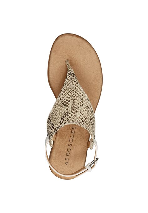 in conchlusion aerosoles