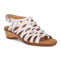 Katia Wedge