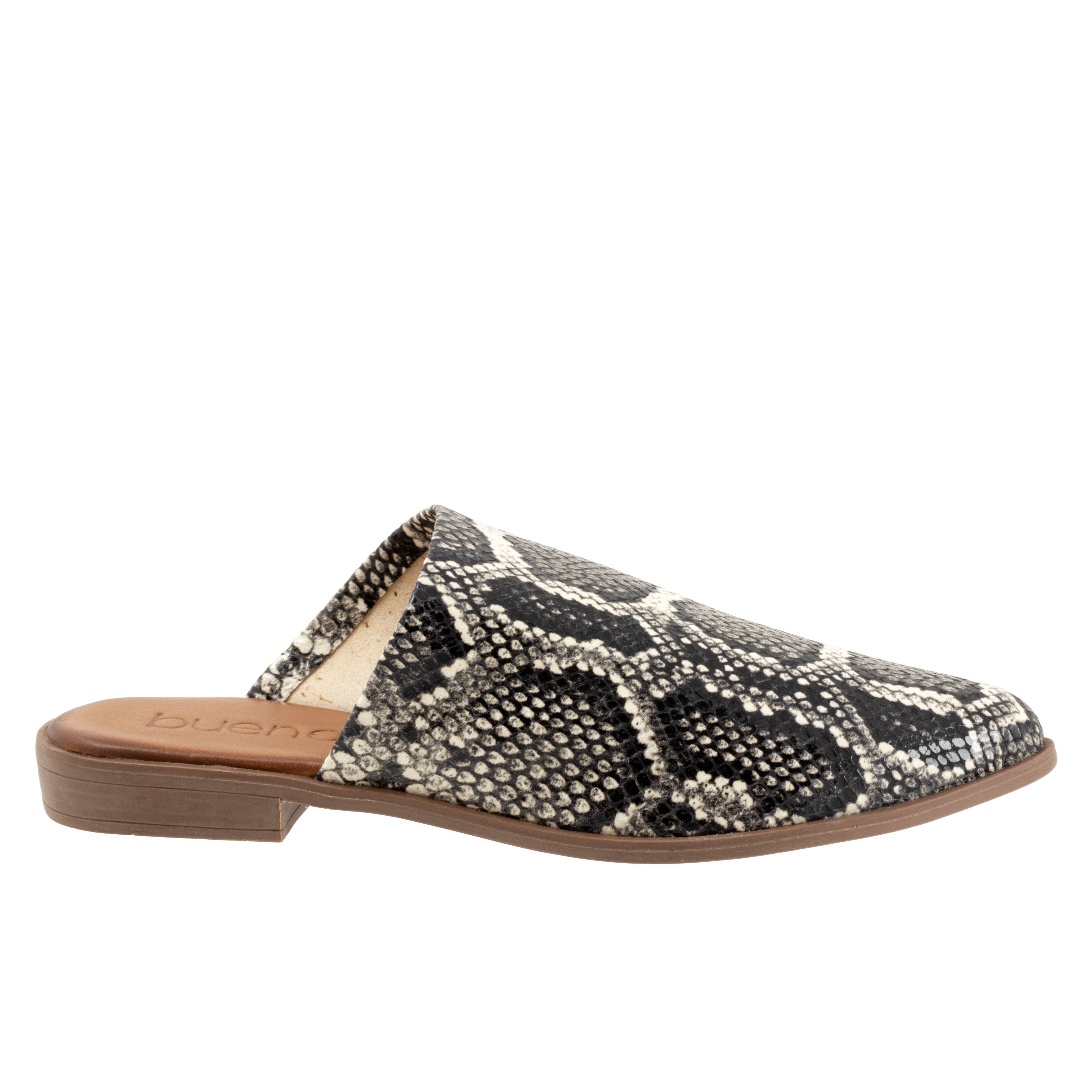 Bambi Flat, BLACK SNAKE, alternate image number 4